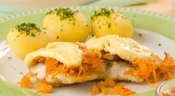 ������ - �������� � ���������� ��������