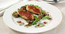 ������ - ������ ����� ���� � ��������