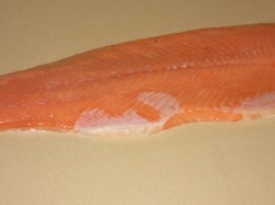 ������ - ���������� ������� ��������� ����